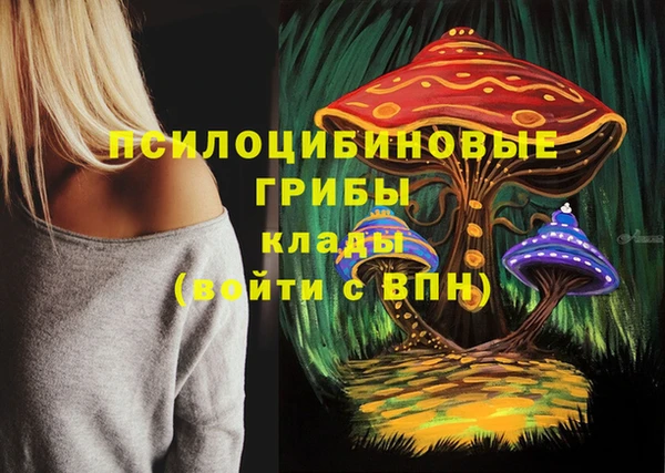 PSILOCYBIN Нефтегорск