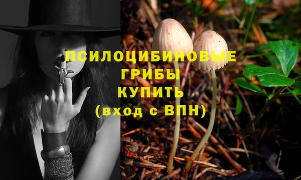 стаф Нефтекумск