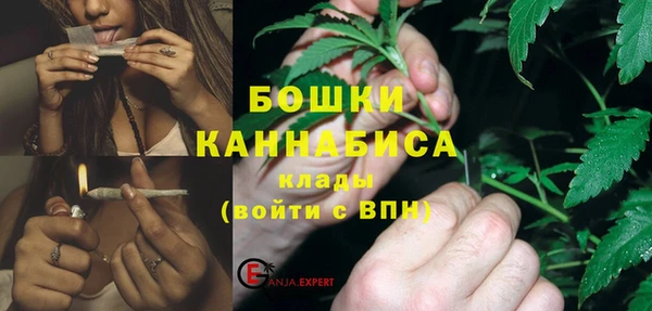 стаф Нефтекумск