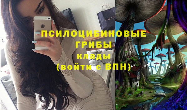 стаф Нефтекумск