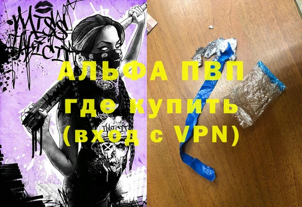стафф Новодвинск