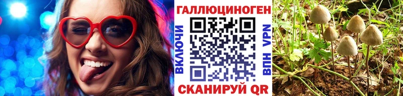 Галлюциногенные грибы Psilocybine cubensis Куса